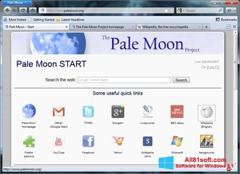 Ekrano kopija Pale Moon Windows 8.1