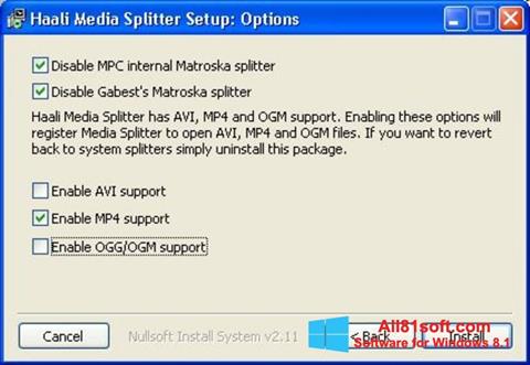 Ekrano kopija Haali Media Splitter Windows 8.1