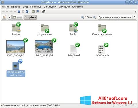 Ekrano kopija Dropbox Windows 8.1