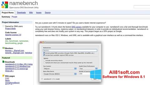 Ekrano kopija NameBench Windows 8.1