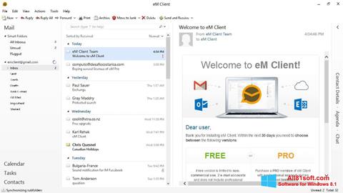 Ekrano kopija eM Client Windows 8.1