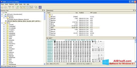 Ekrano kopija DMDE Windows 8.1
