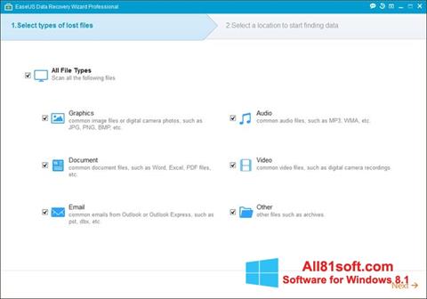 Ekrano kopija EaseUS Data Recovery Wizard Windows 8.1