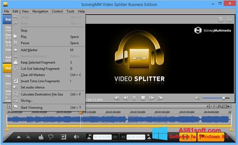 Ekrano kopija SolveigMM Video Splitter Windows 8.1