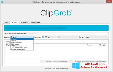 Ekrano kopija ClipGrab Windows 8.1