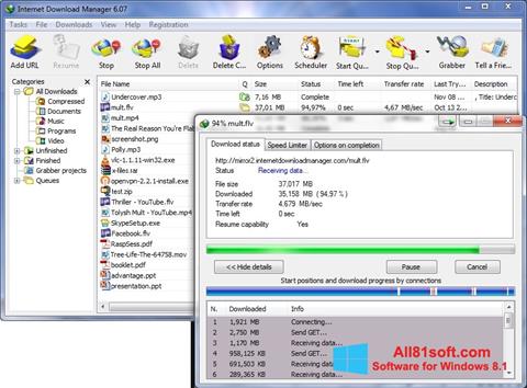 Ekrano kopija Internet Download Manager Windows 8.1