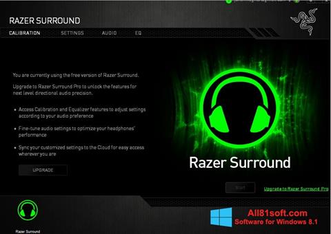 Ekrano kopija Razer Surround Windows 8.1