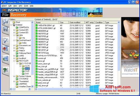 Ekrano kopija PC Inspector File Recovery Windows 8.1