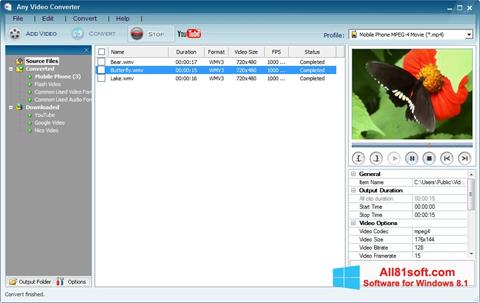 Ekrano kopija Any Video Converter Windows 8.1