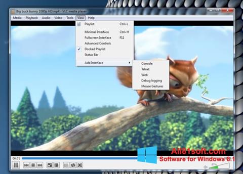 Ekrano kopija VLC Media Player Windows 8.1