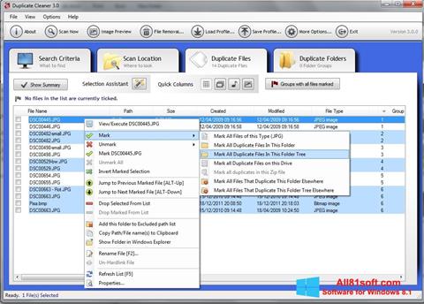 Ekrano kopija Duplicate Cleaner Windows 8.1