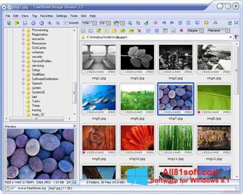 Ekrano kopija FastStone Image Viewer Windows 8.1