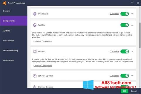 Ekrano kopija Avast! Pro Antivirus Windows 8.1